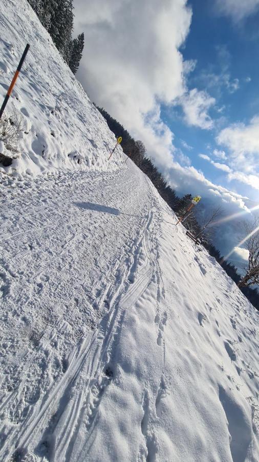 Gasthof Wimbachklamm Ramsau bei Berchtesgaden Exteriör bild